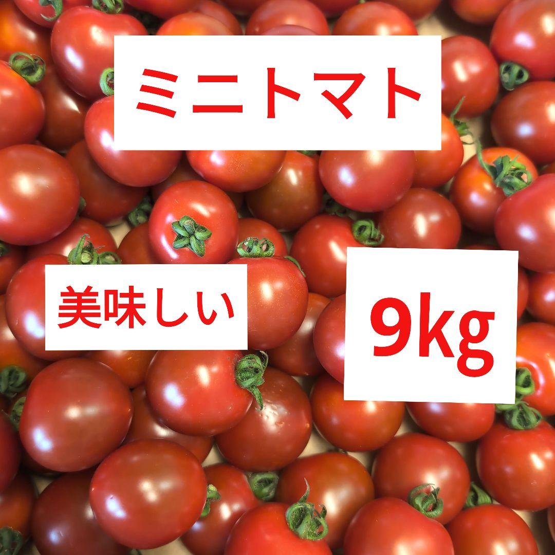 ミニトマト　美味しい　9㎏
