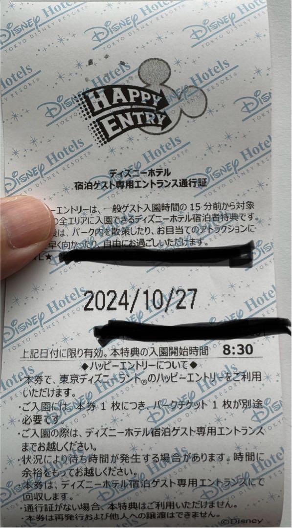10/27（日） ディズニーランド アーリー ハピエン 1枚
