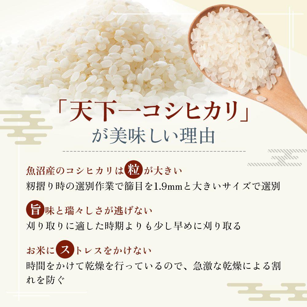 【R5精米】【15kg】天下一 コシヒカリ【新潟県ブランド米】