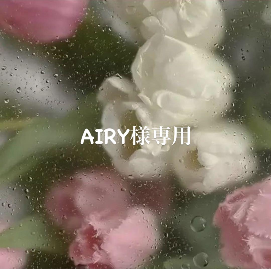 AIRY様 リクエスト 2点 まとめ商品