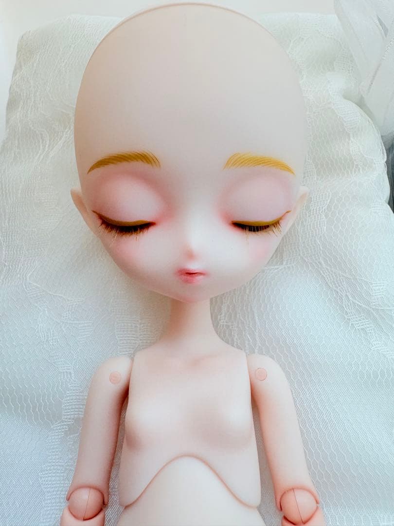 harmonia bloom ペタル おまけつき harmonia bloom ペタル おまけつき