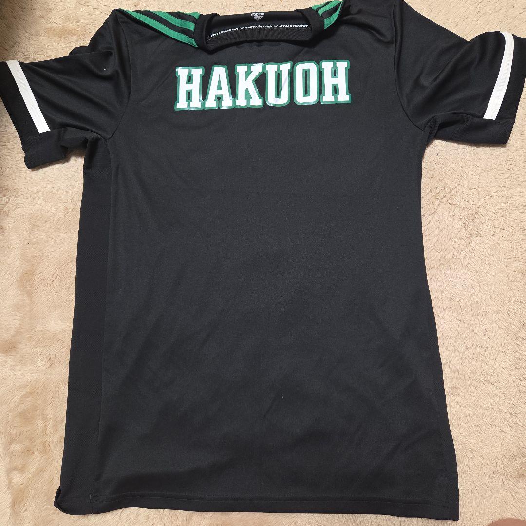 ※ステフィン　白鴎　バスケ　tシャツ