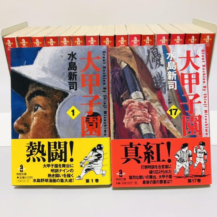 100%安い ■全48巻■文庫版『ドカベン』全31巻『大甲子園』全17巻■完結セット■水島新司 - 全巻セット