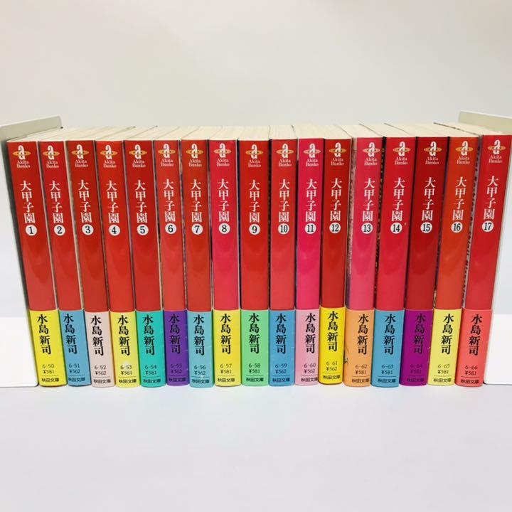 100%安い ■全48巻■文庫版『ドカベン』全31巻『大甲子園』全17巻■完結セット■水島新司 - 全巻セット