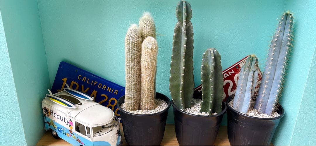 ヤマカル柱 アズレウスやや傷や汚れあり