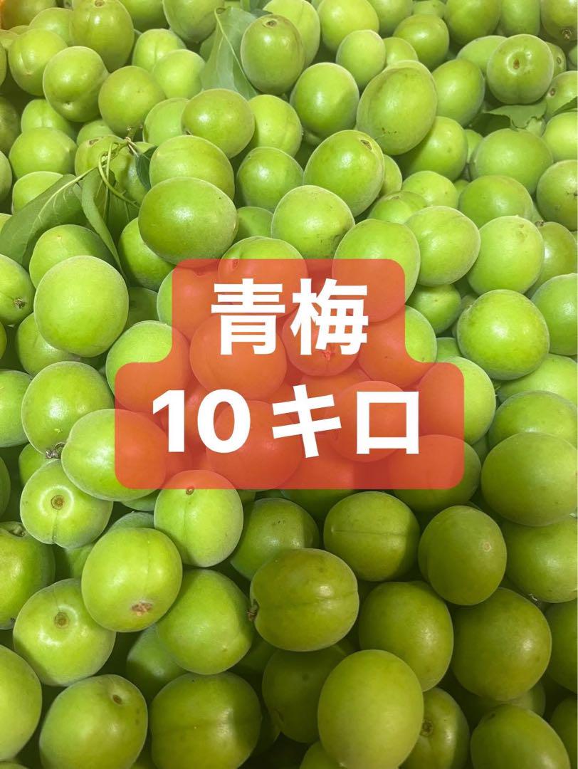 青梅