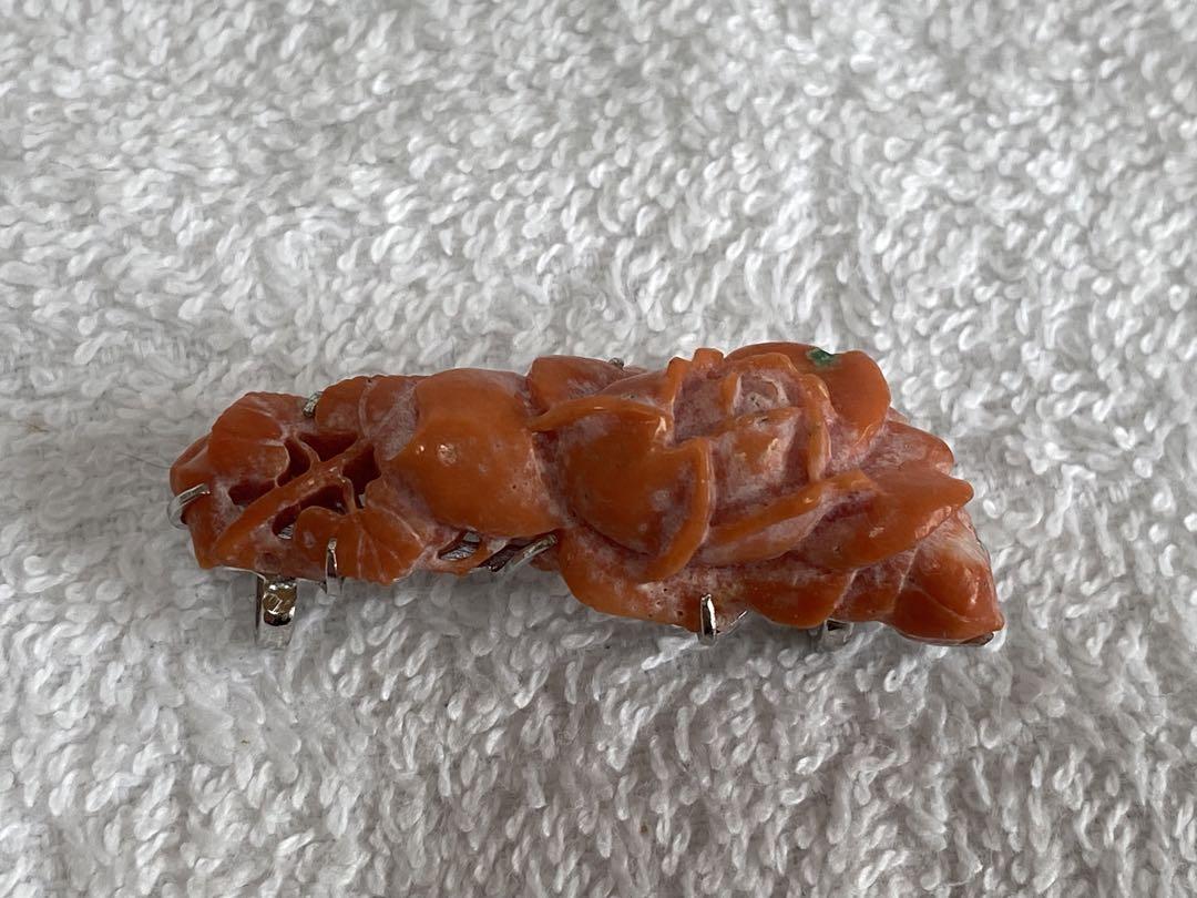 珊瑚