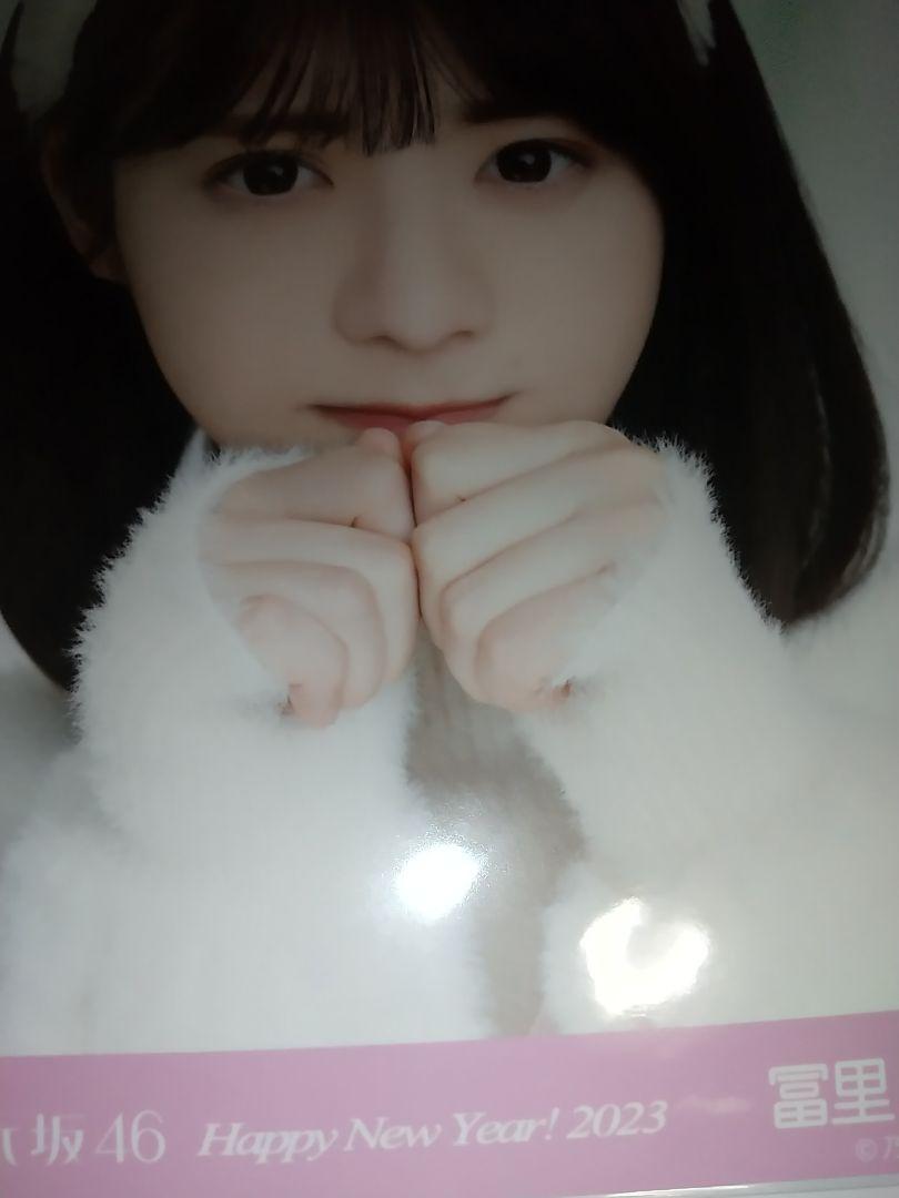 乃木坂46 干支 うさぎ セミコンプ 冨里奈央 生写真 Amazon.co.jp: 乃木坂46 冨里奈央 生写真 干支 兎 コンプ 検