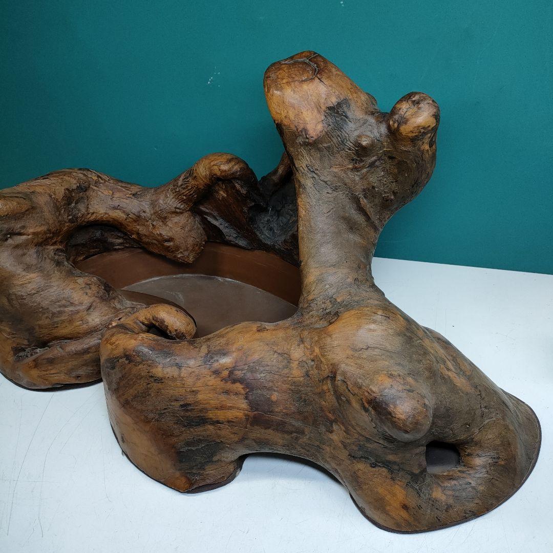 木の根の水盤　横巾63cm