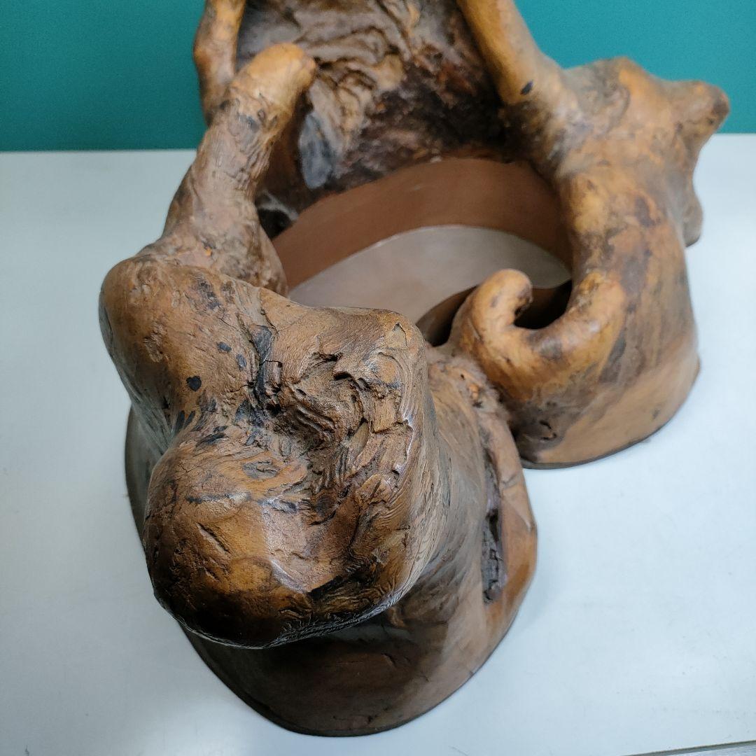 木の根の水盤　横巾63cm