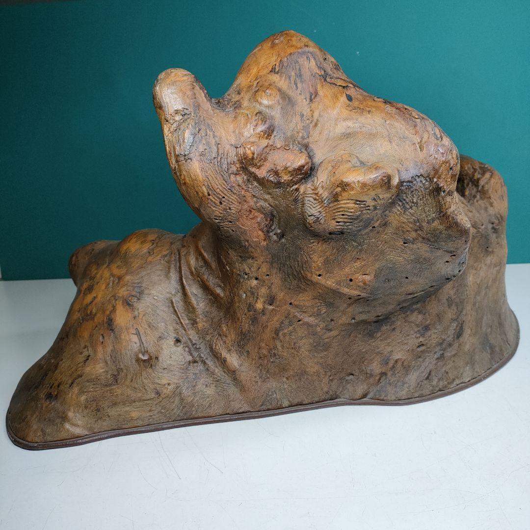 木の根の水盤　横巾63cm