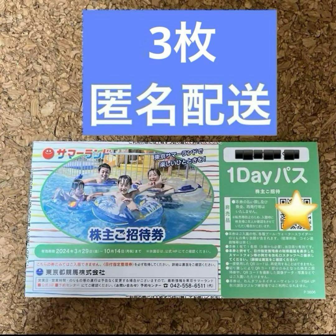 サマーランド フリーパス 通期 3枚 n