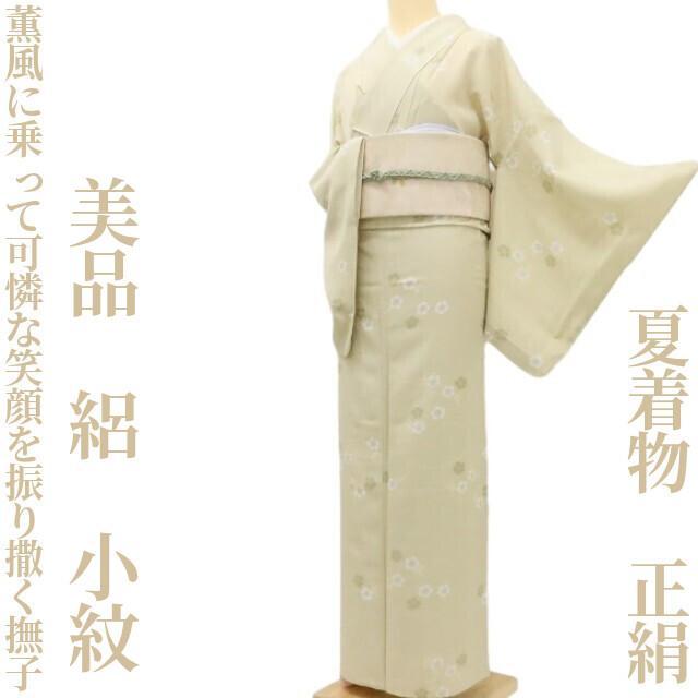 美品 夏着物 正絹 絽“薫風に乗って可憐な笑顔を振り撒く撫子”小紋 D-45