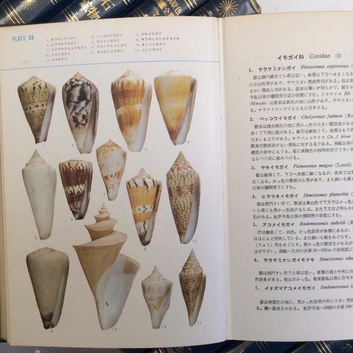 標準原色図鑑全集(全20巻)