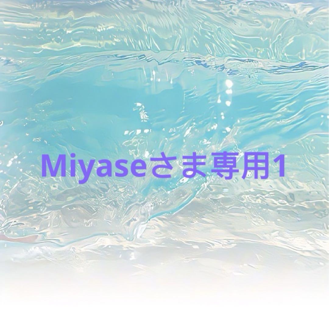 Miyaseさま専用1
