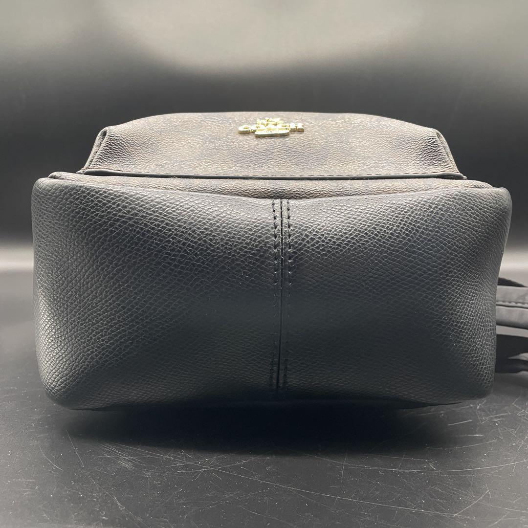 Coach リュック・バックパック ブラウン・ブラック
