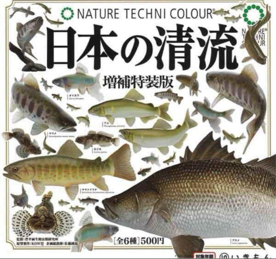 日本の清流 増補特装版 アカメ NTC ネイチャーテクニカラー