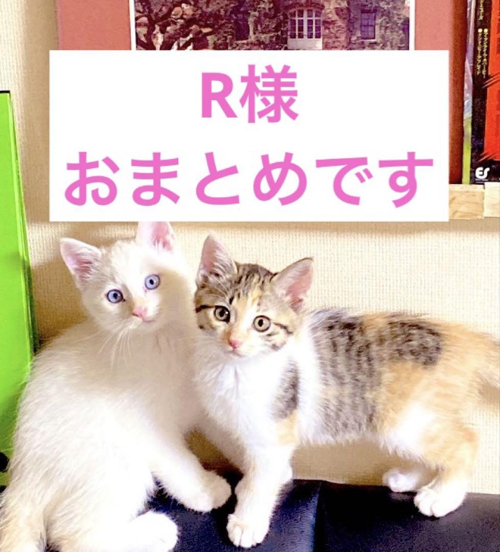 R様 リクエスト 2点 まとめ商品