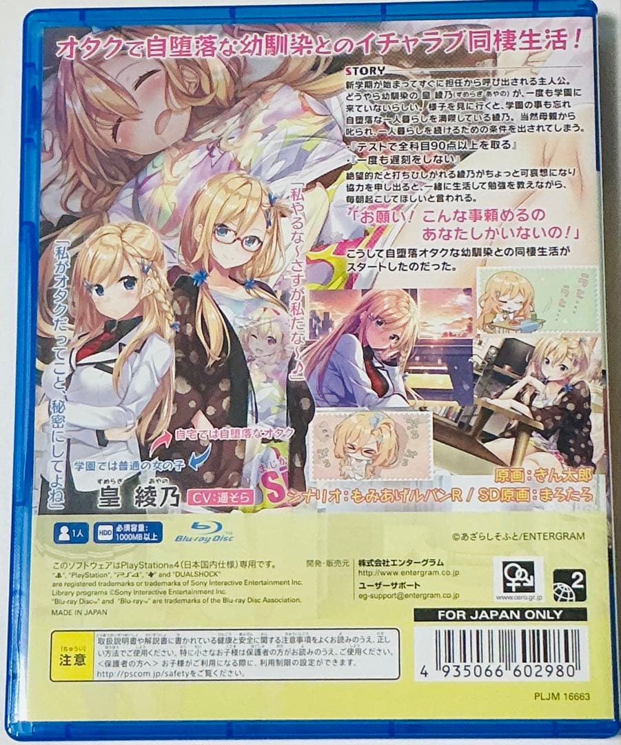 匿名配送 エンターグラムPlayStation4