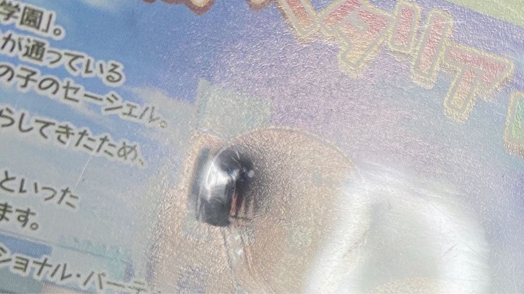 学園ヘタリアDS ソフト