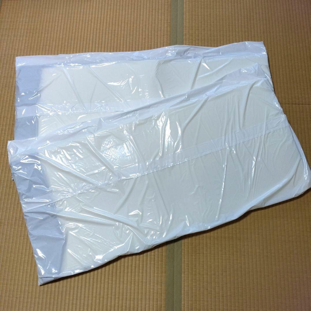 〚新品２枚セット〛ミニトゥルースリーパー ごろ寝マット お昼寝サイズ