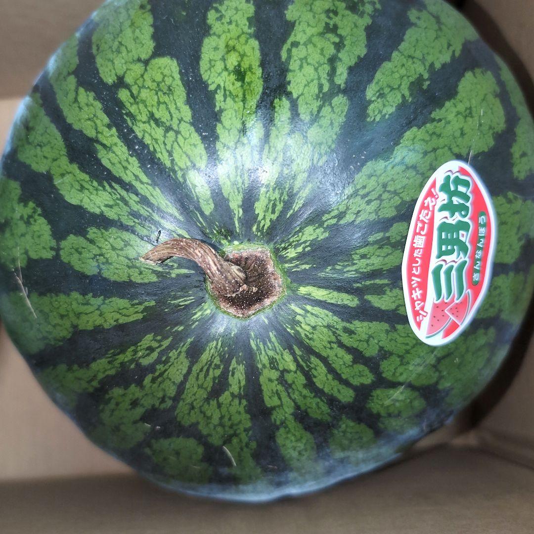 スイカ 2玉 12Ｋg