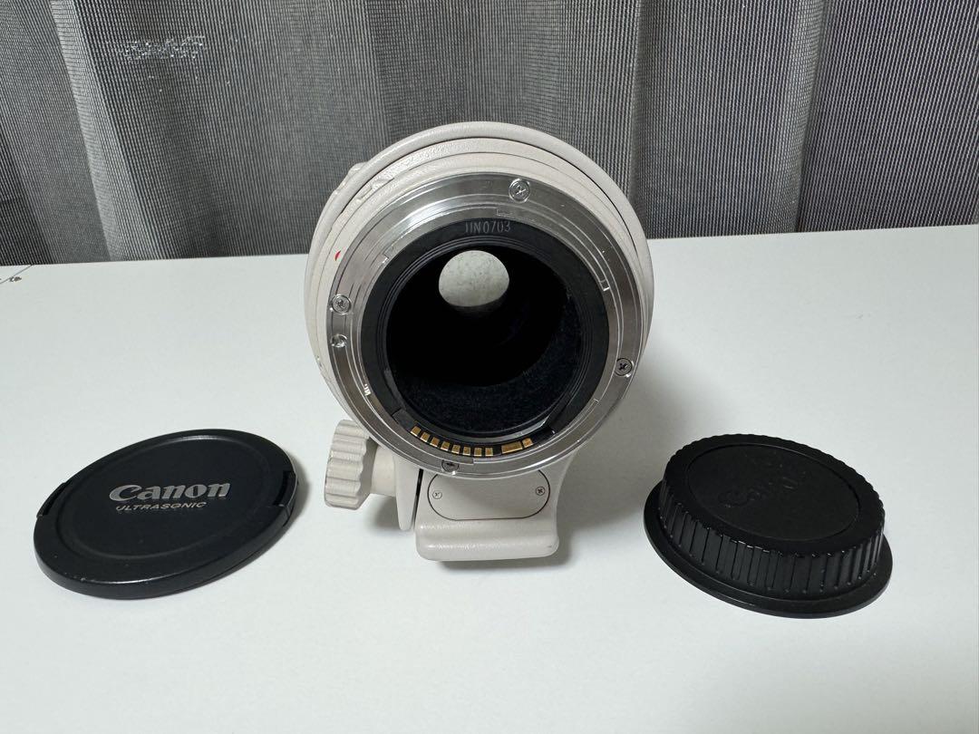 EF100-400mm F4.5-5.6L