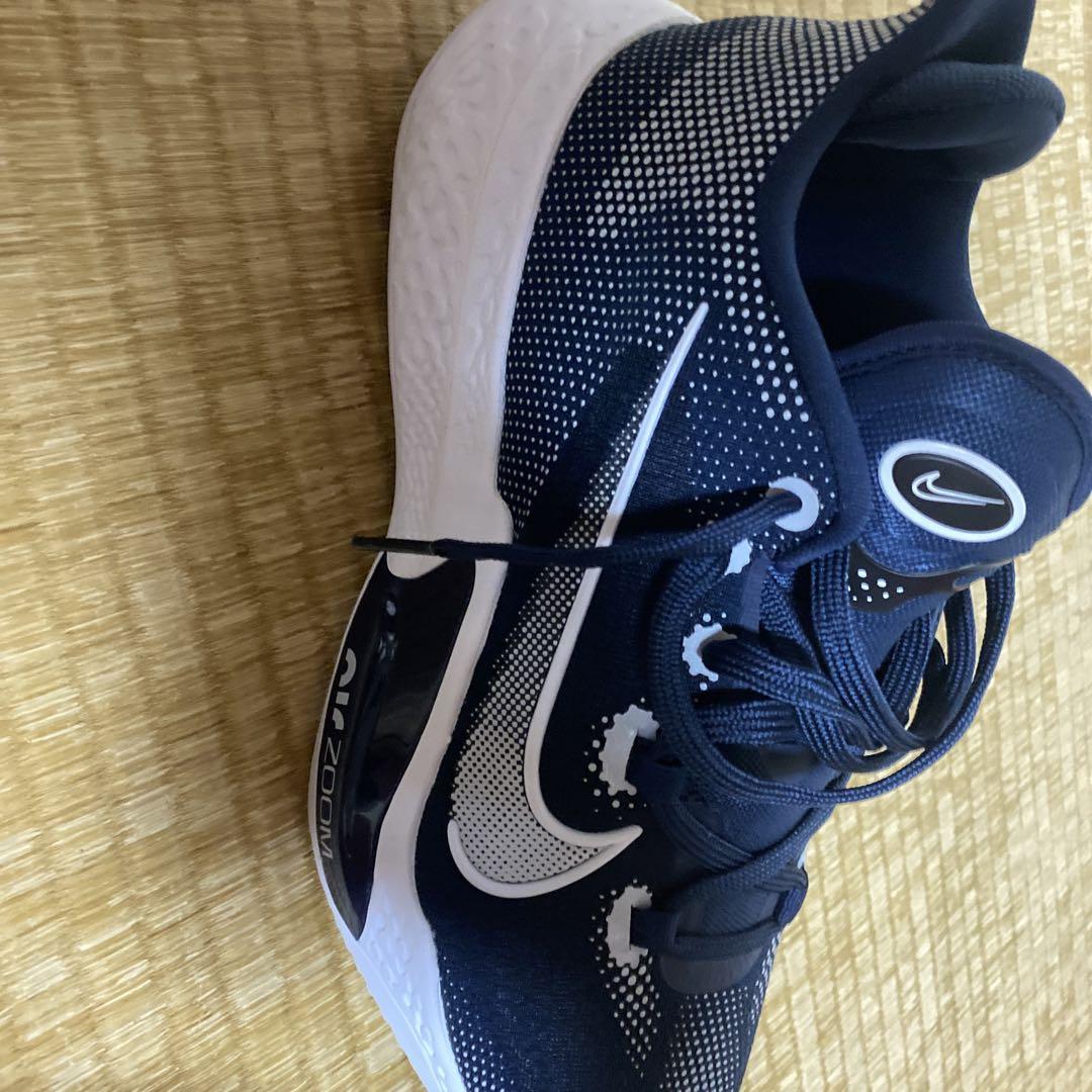 シューズ(男性用) NIKE Air Zoom BB NXT