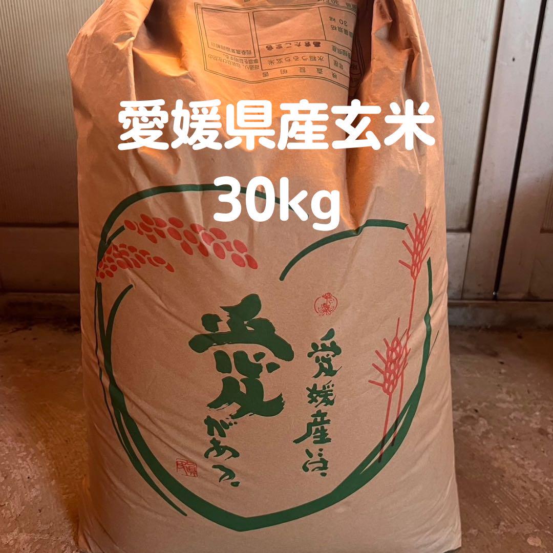 愛媛県産 玄米 30kg
