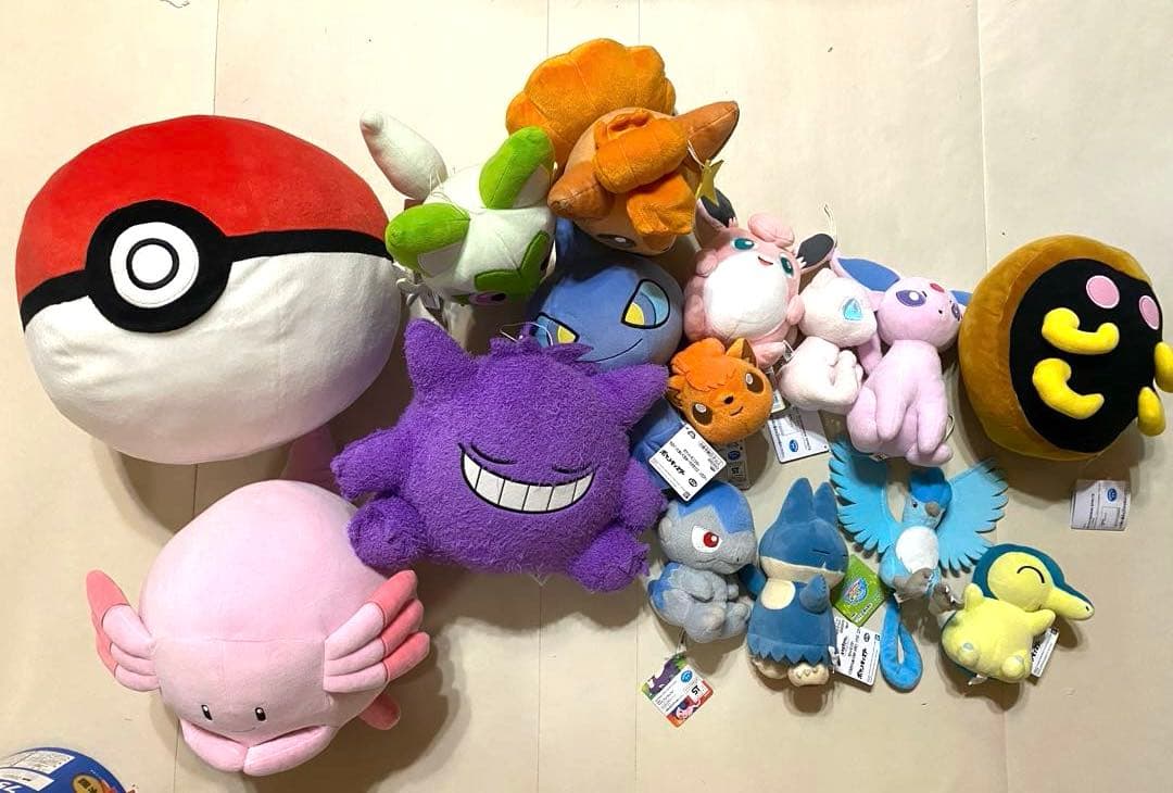 ポケモンぬいぐるみ15点セット紙
