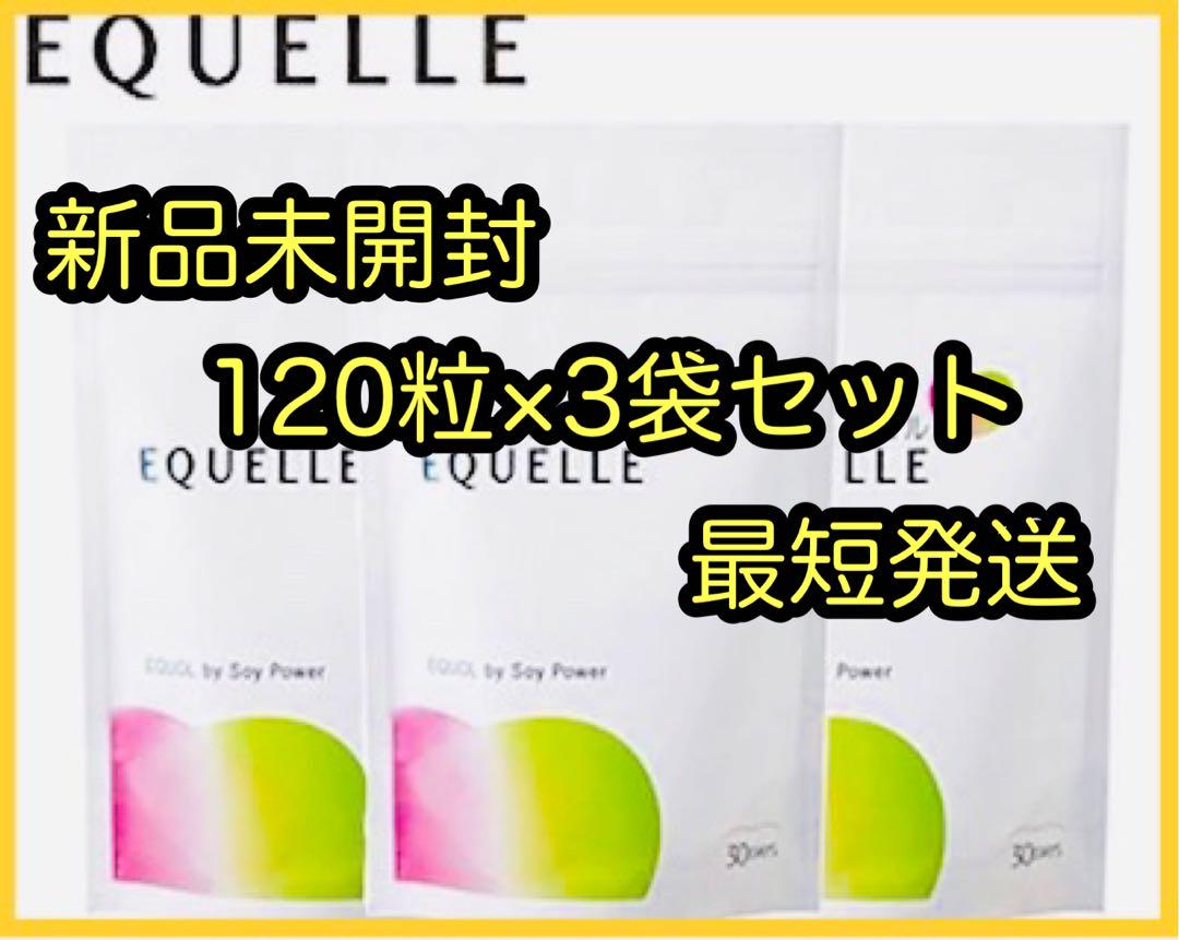 【新品未開封】エクエルパウチ 120粒 3袋セット（エクエル パウチ）