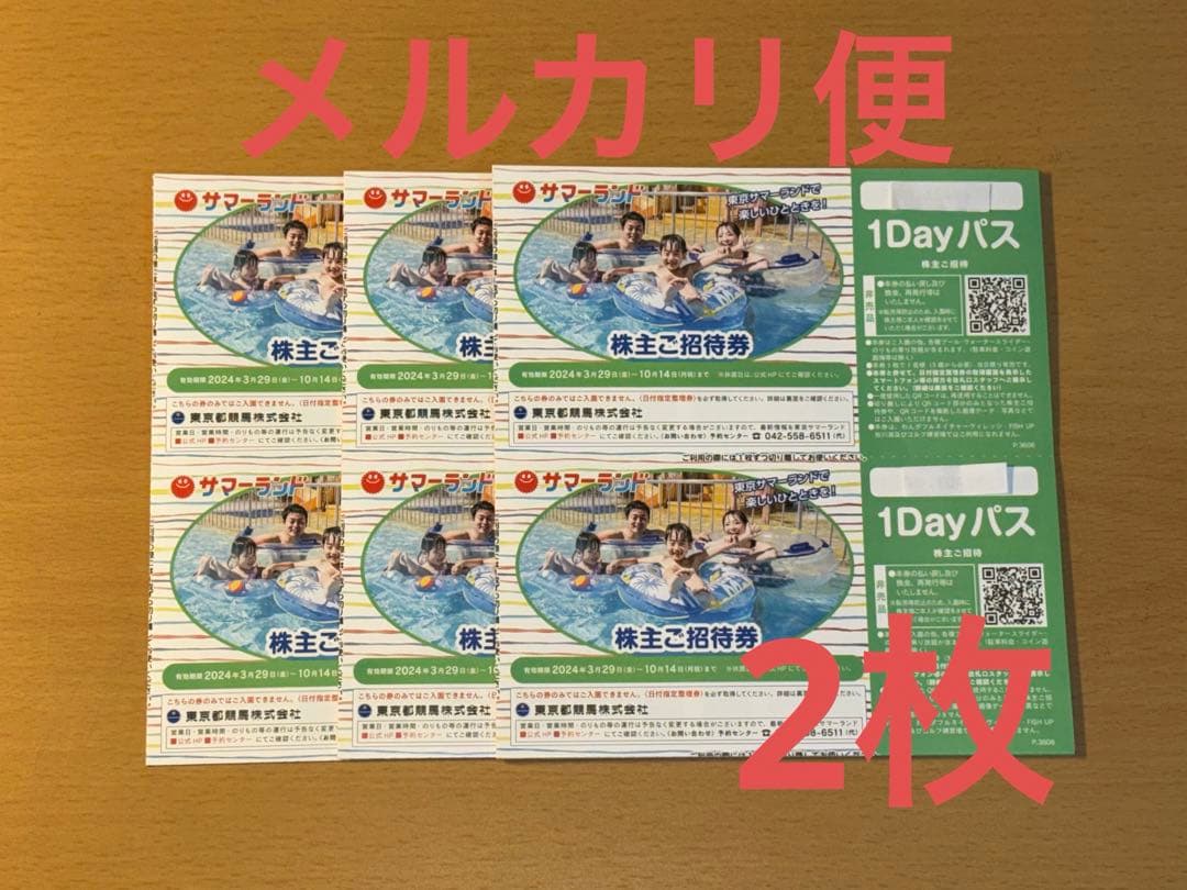 サマーランド 株主優待 2枚