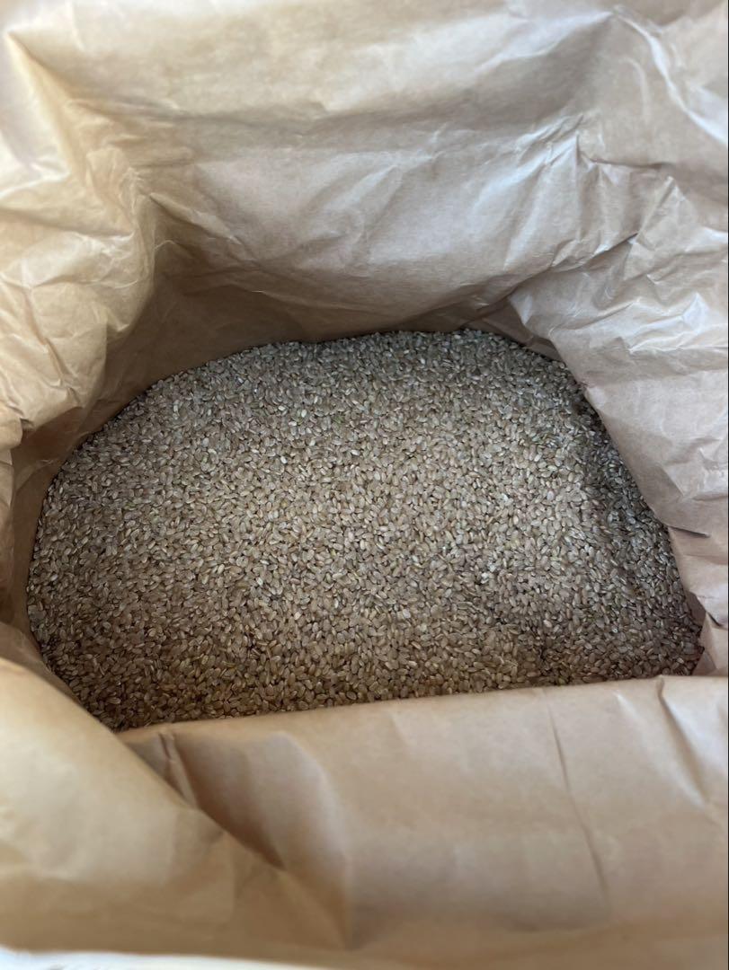 愛媛県産 玄米 30kg R6新米