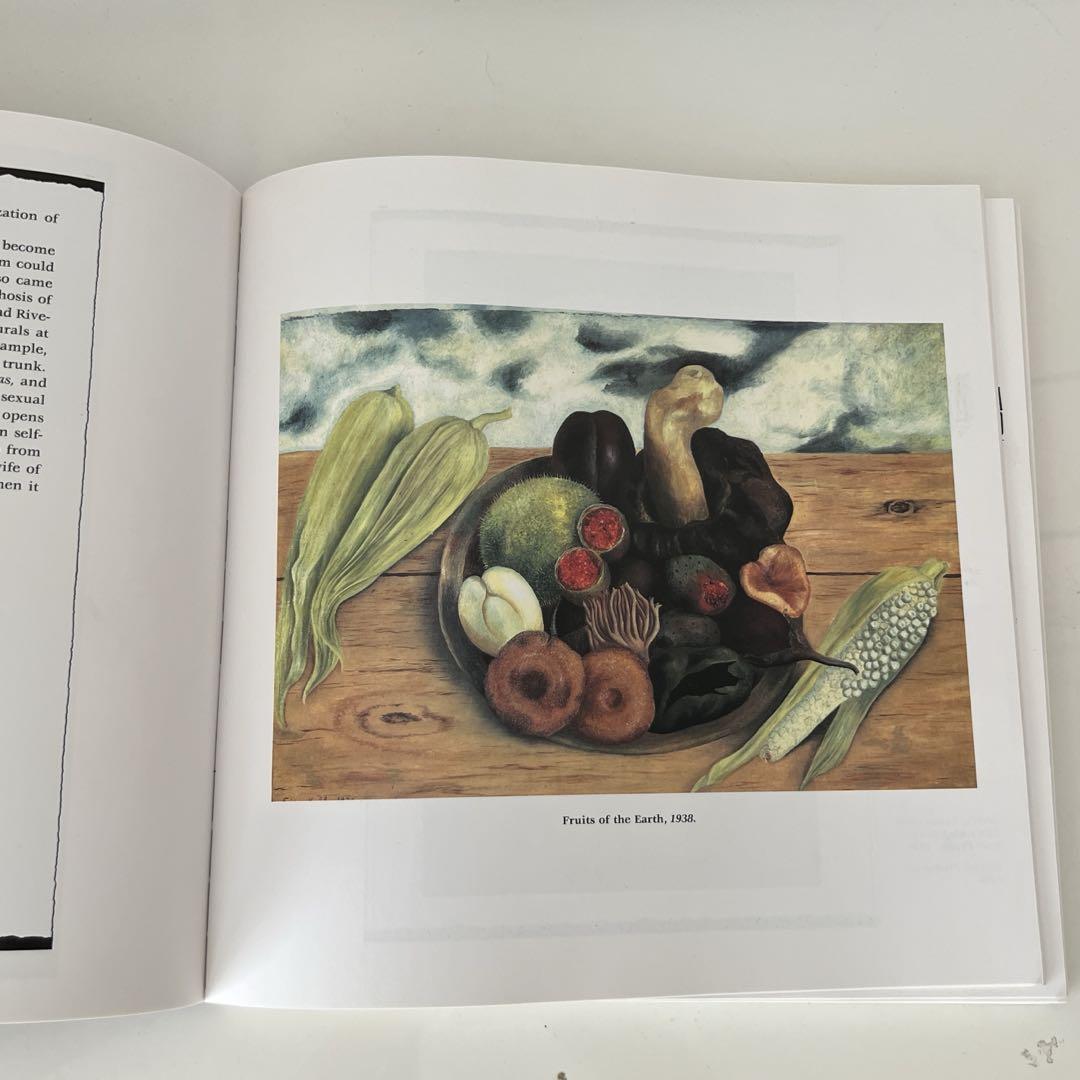 FRIDA KAHLO BOOK USED 洋書 フリーダ・カーロ