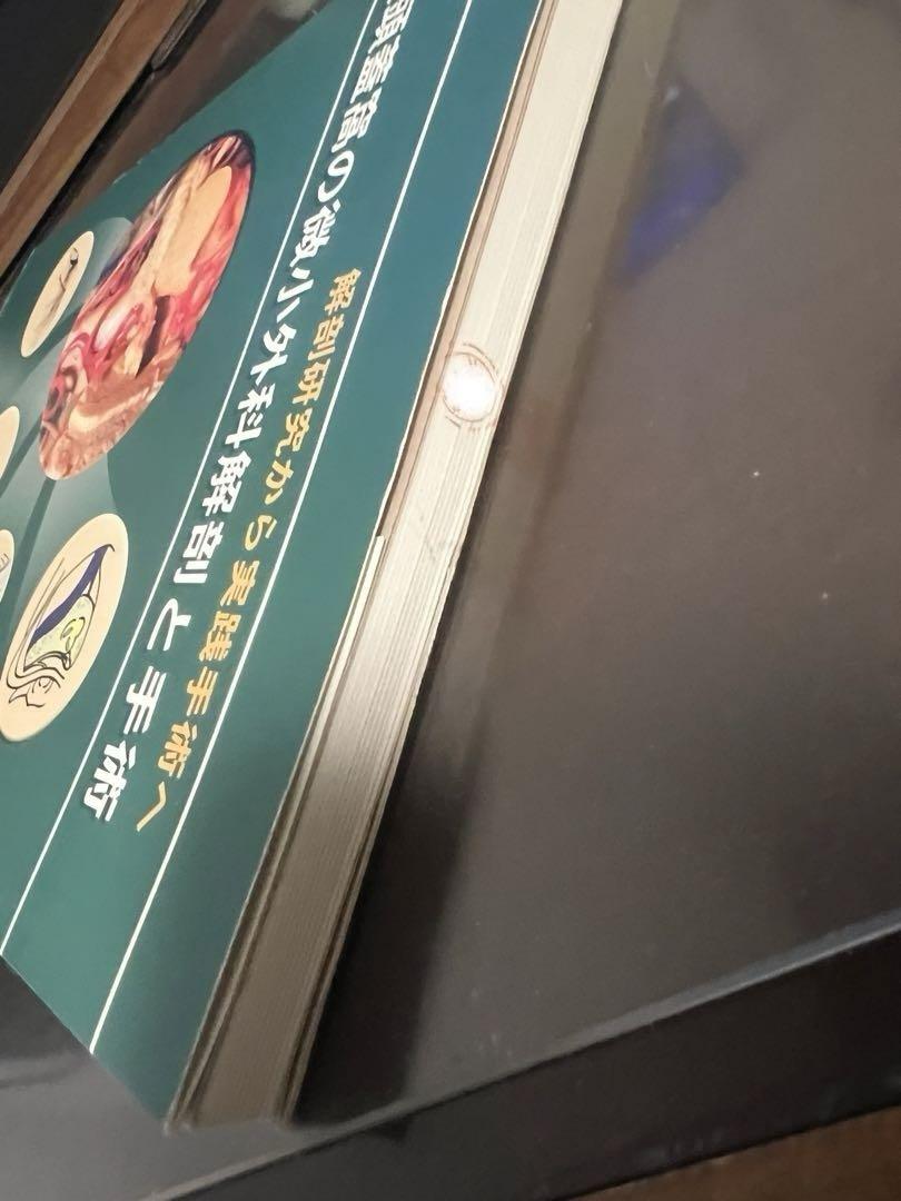 後頭蓋窩の微小解剖と手術　解剖研究から実践手術へ