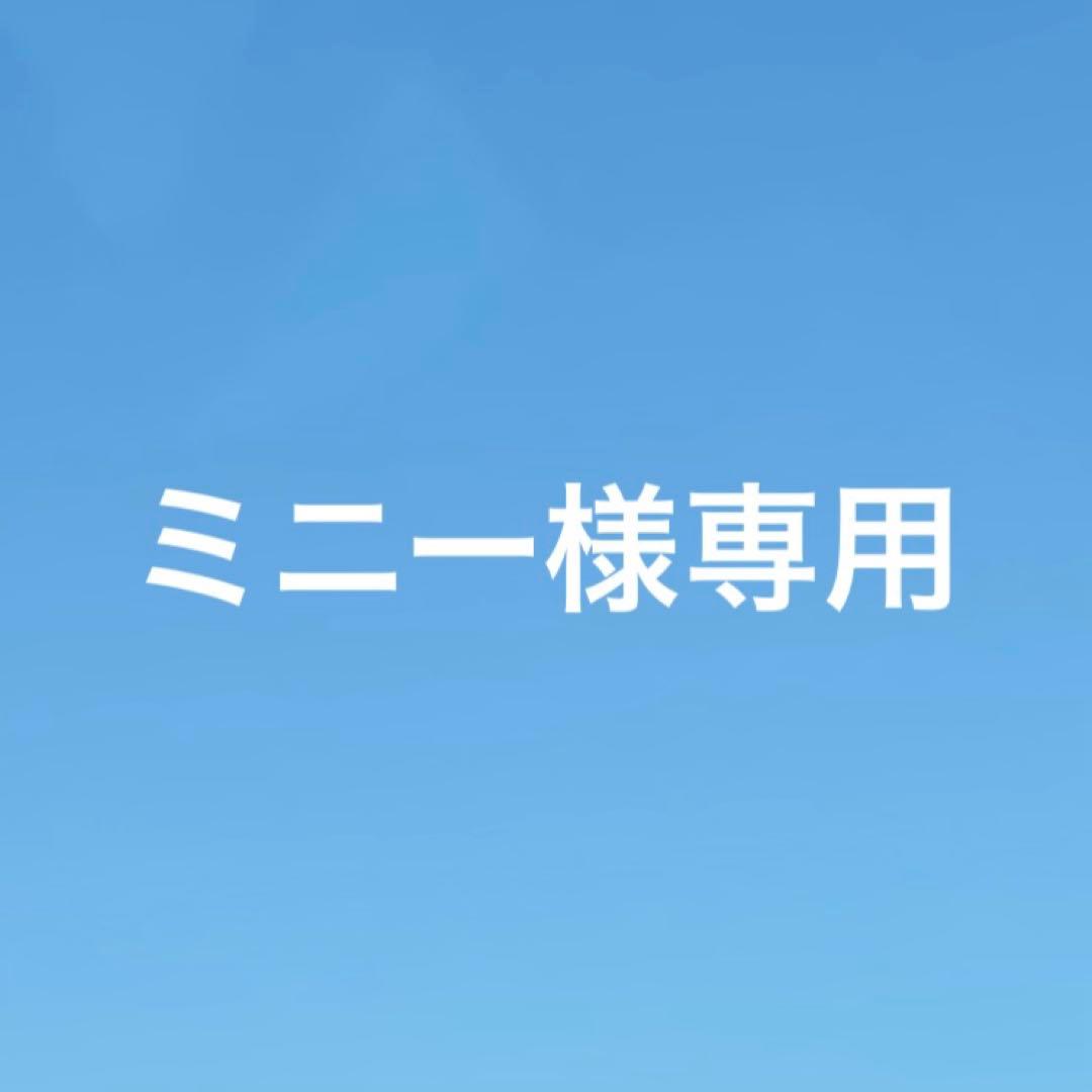 ミニー様専用
