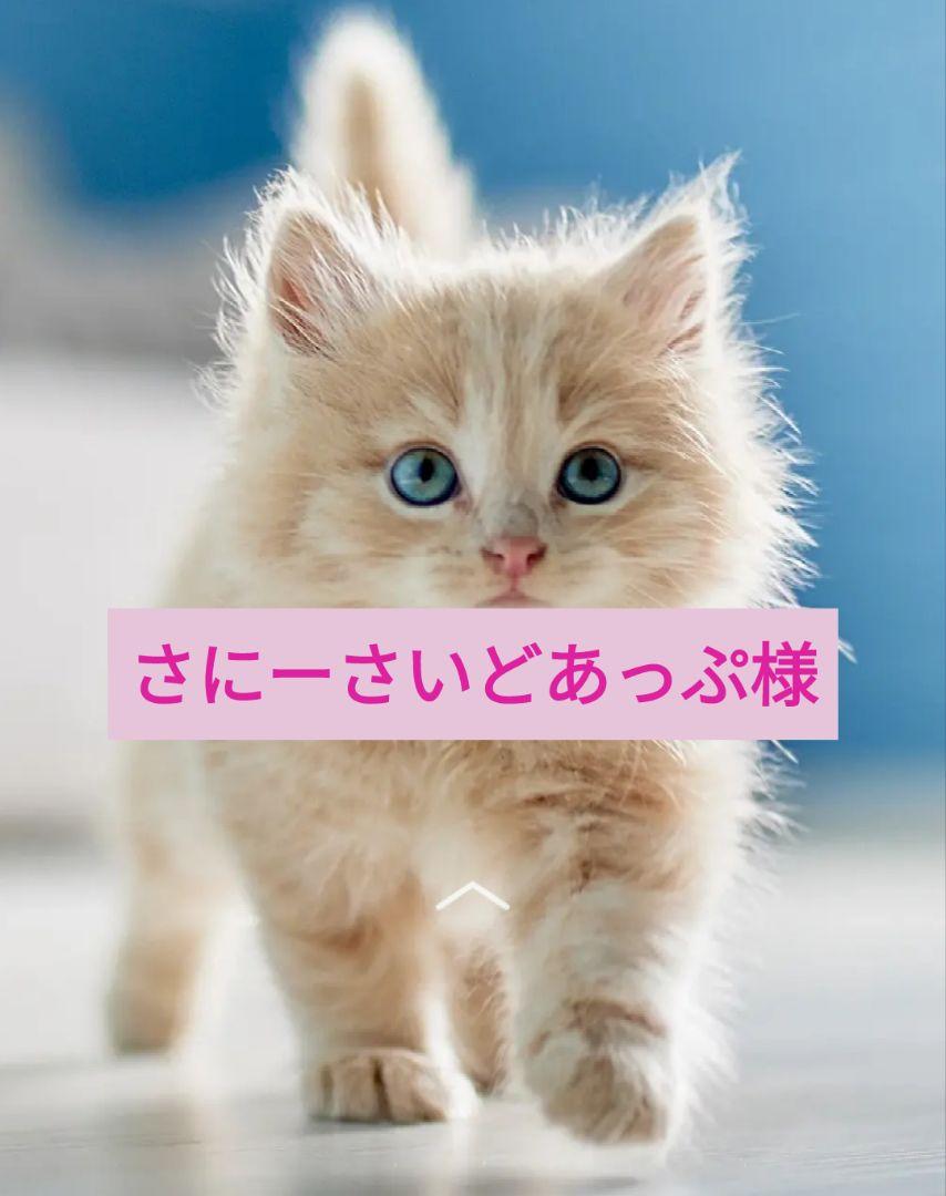 さにーさいどあっぷ　キャットフード