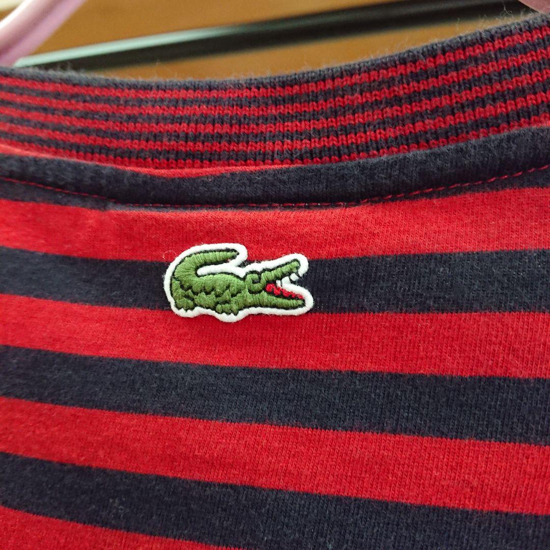 LACOSTE ボーダークルーネック XS
