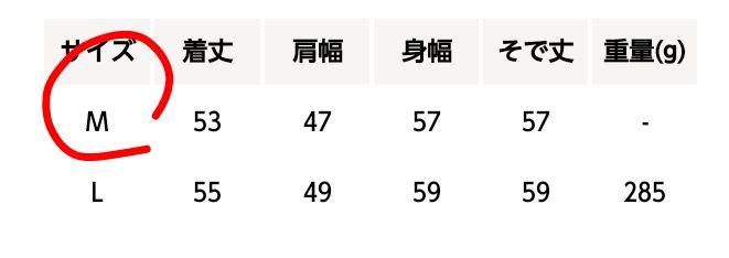 THE NORTH FACE ショートコンパクトジャケット　M