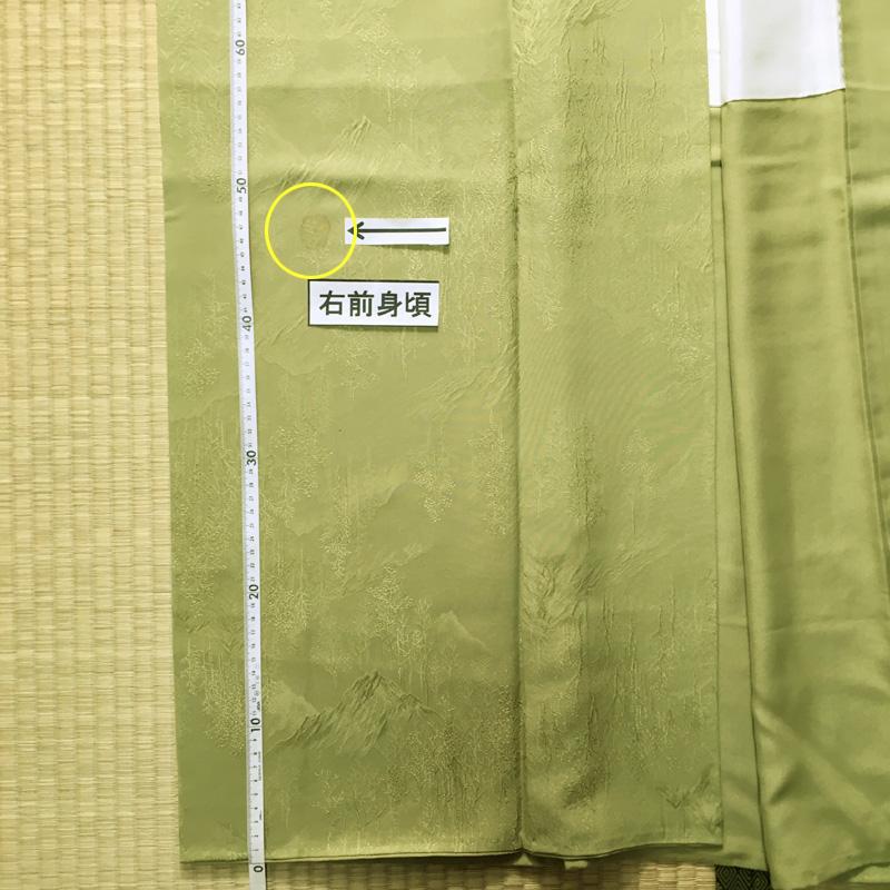 17mi32 萌黄 一つ紋 状態良好 aDEs9-m79036029036 色無地 帯&帯揚げ&帯締め付き 地紋 100%新品