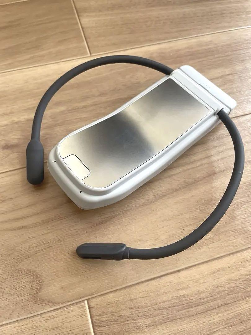 【美品、内袋あり】レオンポケットプロ　REON POKET PRO
