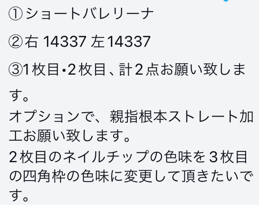 ネイルチップオーダー　2点　未歩様