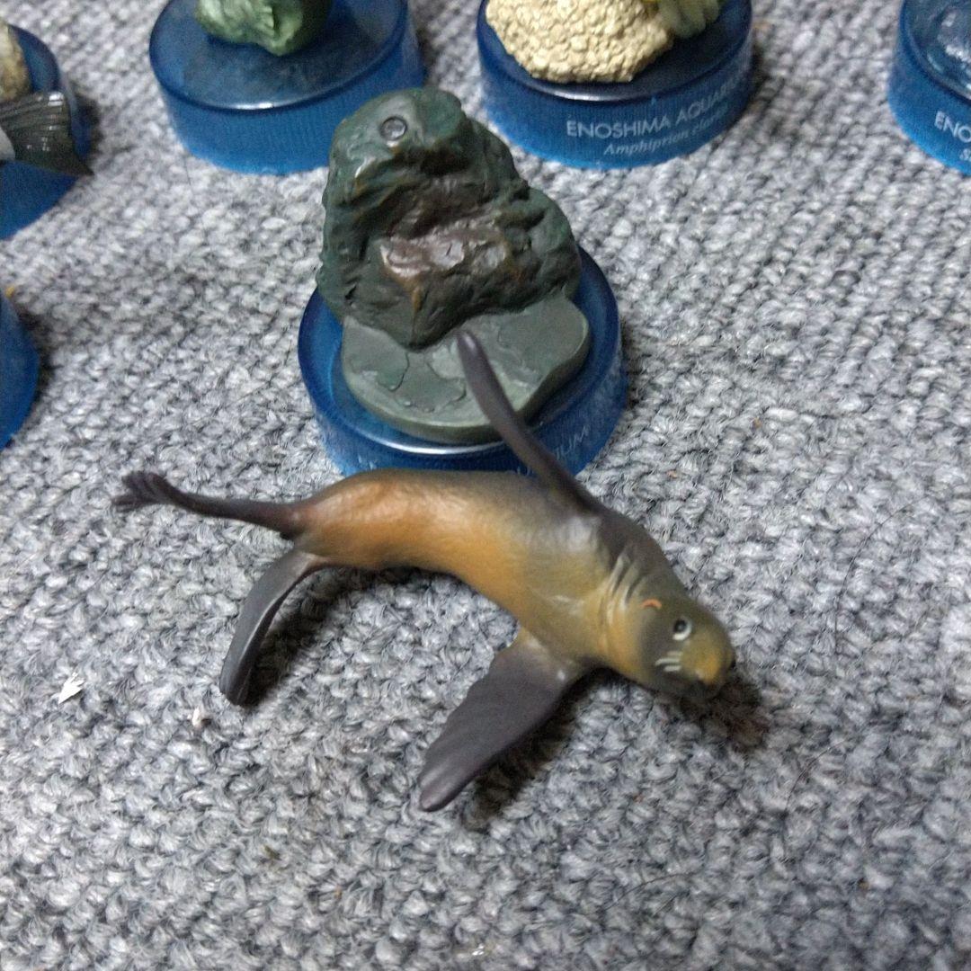 メーカー在庫限り品 新江ノ島水族館への誘い2全13種海洋堂 therapeuticapillows.ca メーカー在庫限り品 新江ノ島水族館への誘い2全13種海洋堂 therapeuticapillows.ca