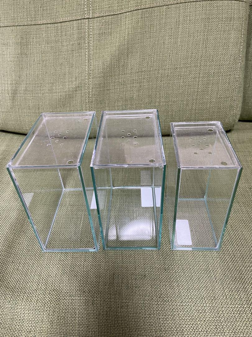 ベタ飼育5点セット