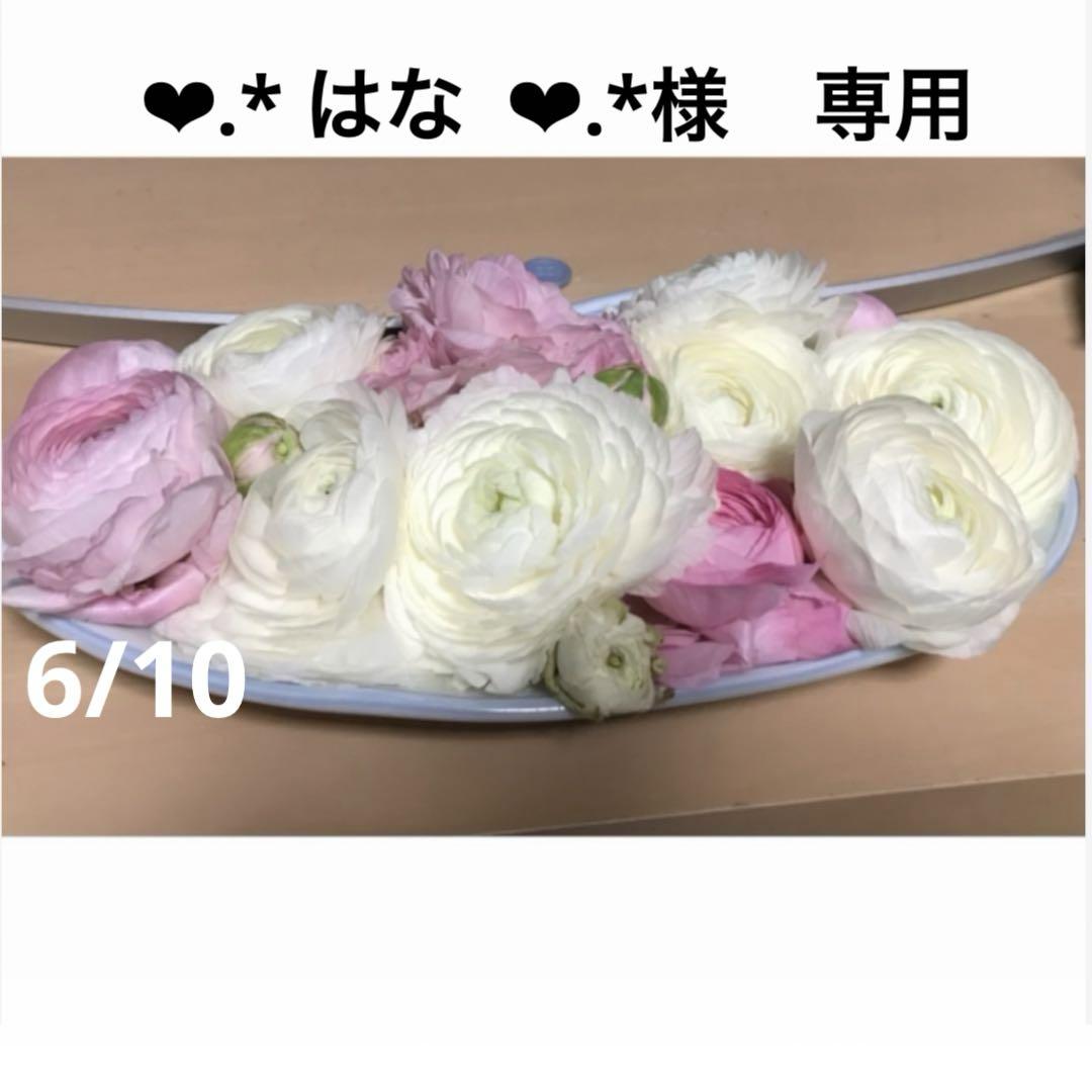 ❤︎.* はな ❤︎.*様　専用