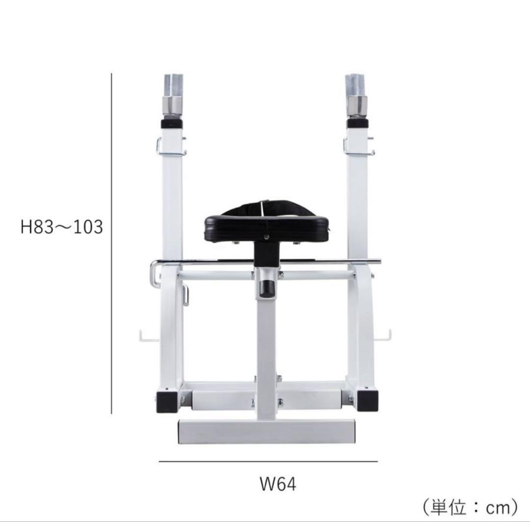 引き取り限定　トレーニングベンチ 100kg セット