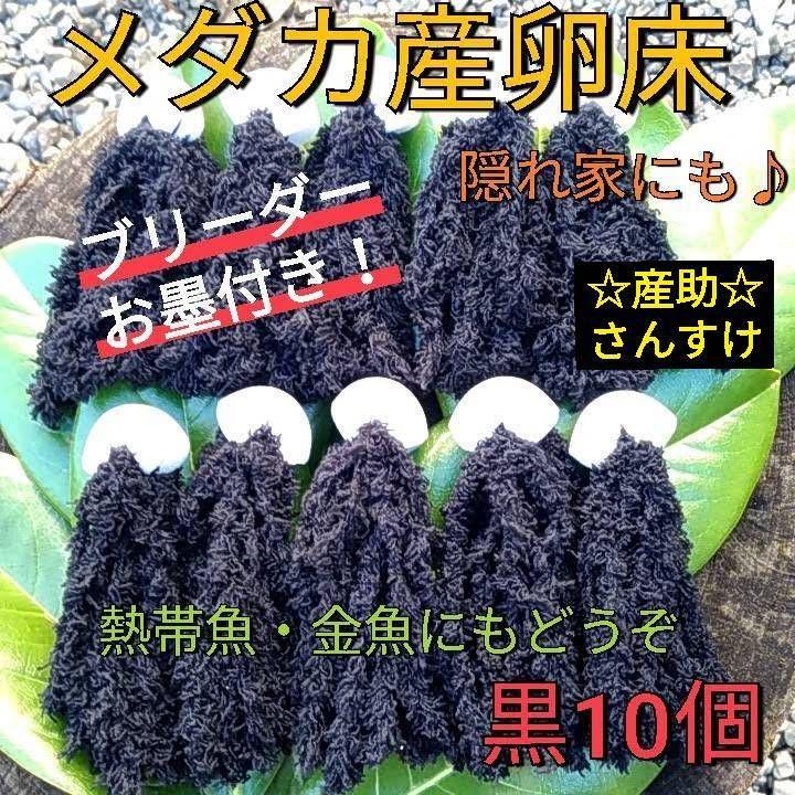 メダカ産卵床 10㎝ ★産助(さんすけ)2号50★ ※組立不要！金魚にも メダカ産卵床 10㎝ ☆産助(さんすけ)2号☆ ※組立不要！※熱帯魚