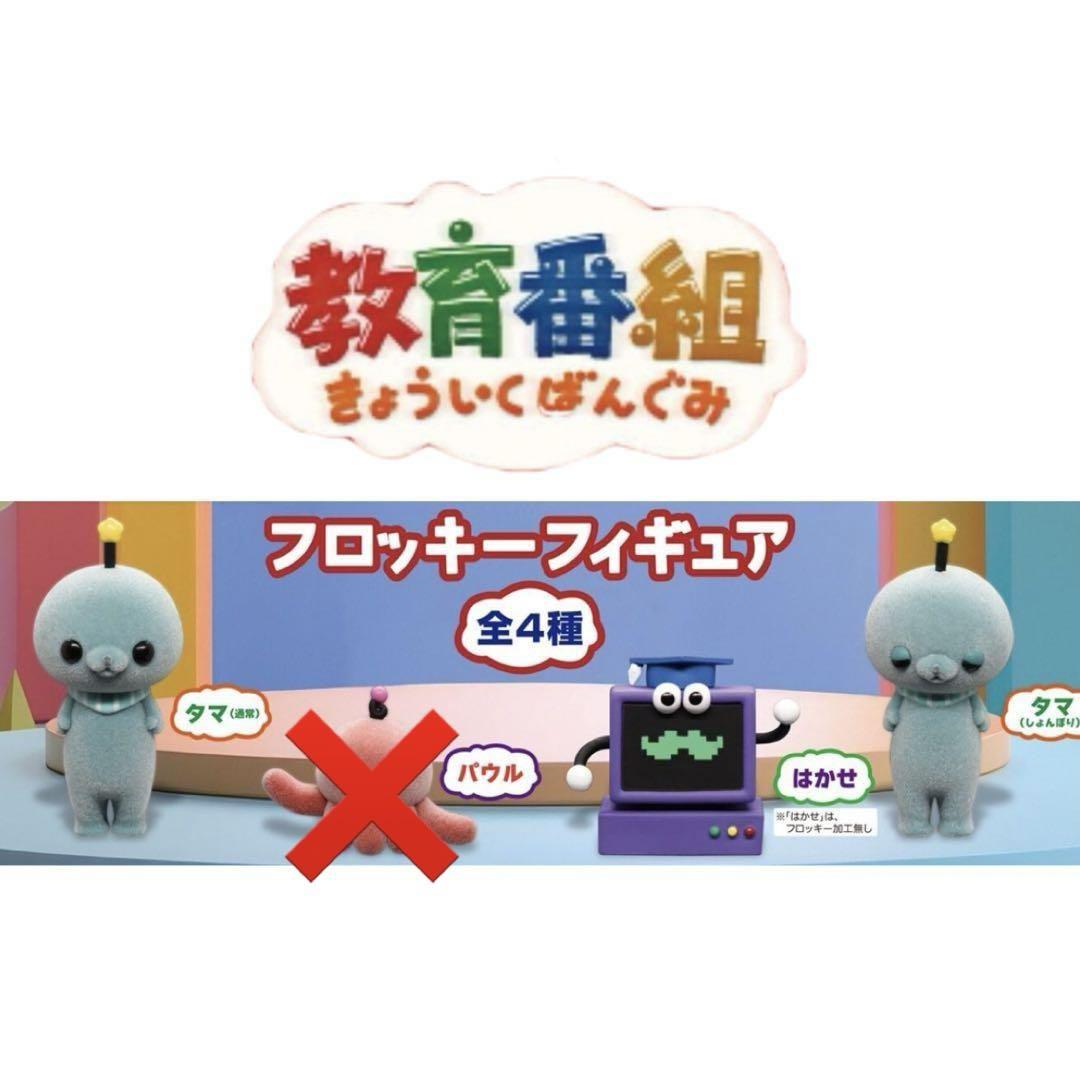MNSスタッフ on X: 