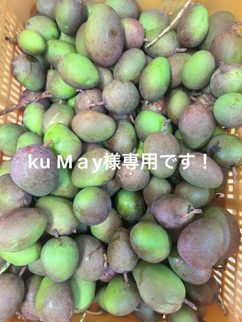 摘果マンゴー　15kg クール便発送！