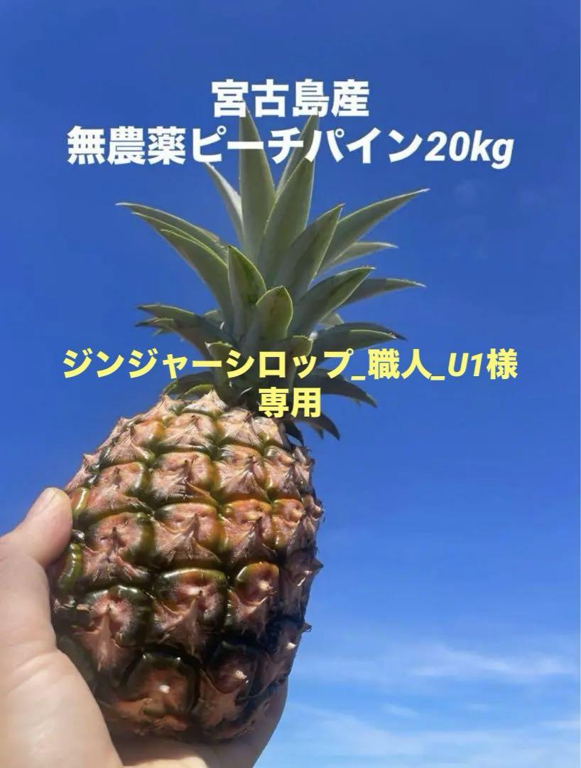 宮古島産　無農薬ピーチパイン20kg